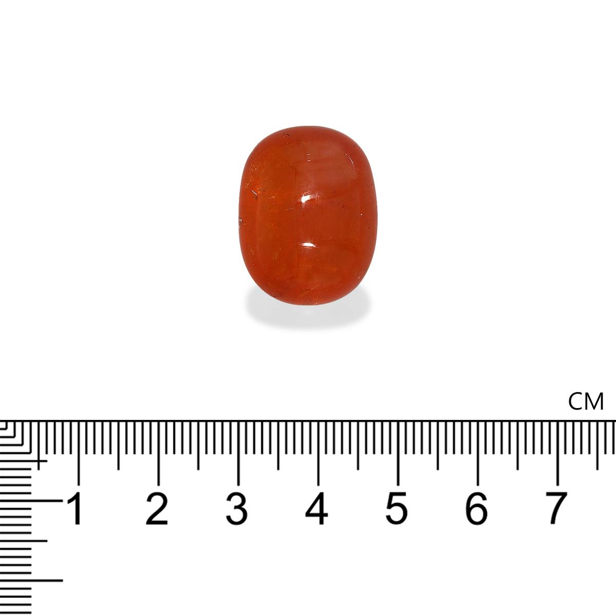 Spessartite Garnet 46.97 ct
